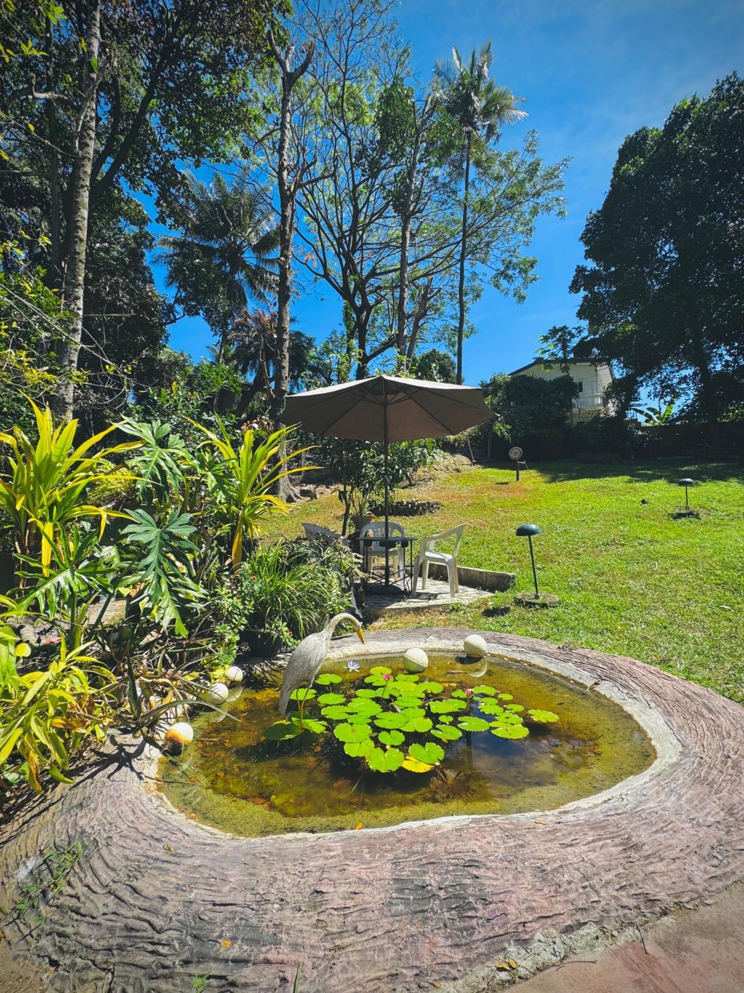 Mahaweli View Bungalow Kandy Exteriér fotografie